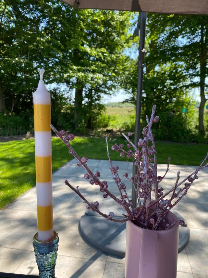 Luxe En Gezellig Chalet Aan Veluwemeer 4 Pers Hulshorst Extérieur photo